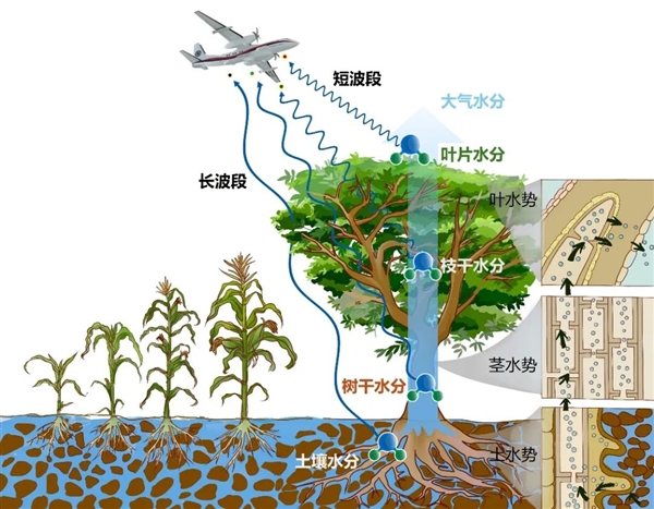 國際首次！中國航空遙感系統(tǒng)試驗成功